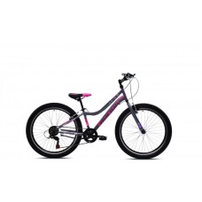 CAPRIOLO MTB Diavolo 400 24'' sivo- ljubičasti (925304-12) CAPRIOLO MTB Diavolo 400 24'' sivo- ljubičasti (925304-12)