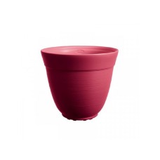 DiMartino TICINO 35 CHERRY RED DiMartino TICINO 35 CHERRY RED