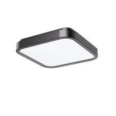 RABALUX Samira 71256 LED plafonjera RABALUX Samira 71256 LED plafonjera