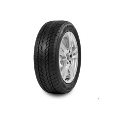 DAVANTI 195/50R15 86H Wintoura XL zimska