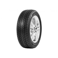 DAVANTI 195/55R15 89H Wintoura zim