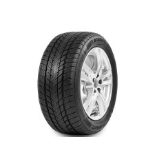 DAVANTI 225/60R17 103V Wintoura zim