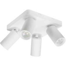 RABALUX Yorli 73088 spot svetiljka